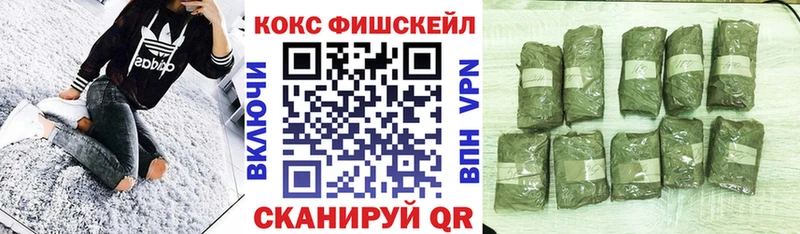 Cocaine 99%  Каргополь 