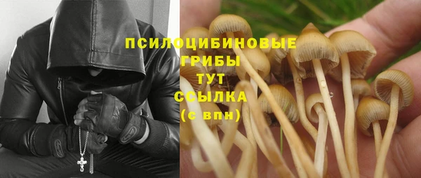 крисы Нягань