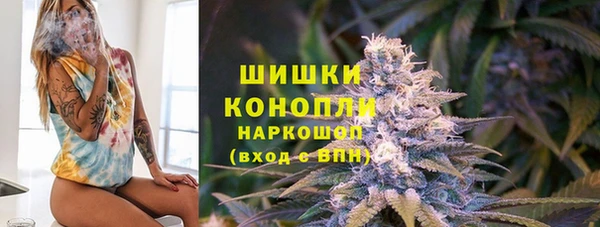 стаф Вязники