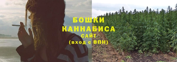 мескалин Новозыбков