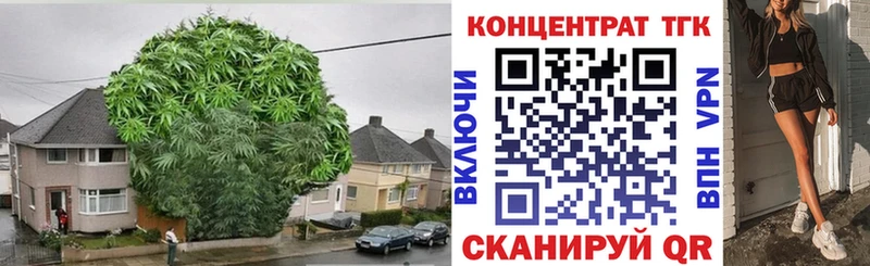 ТГК THC oil  Каргополь 